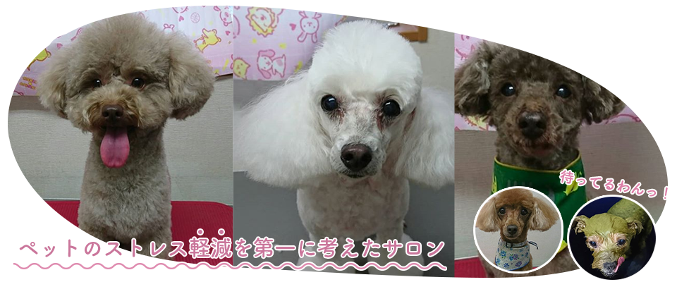 安全・丁寧・快適な空間を提供